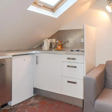 Appartamento Saint Paul, Rue Pavee, Duplex - Id 1049